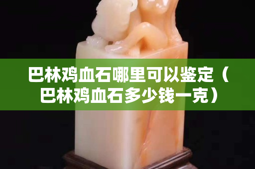 巴林雞血石哪里可以鑒定（巴林雞血石多少錢一克）