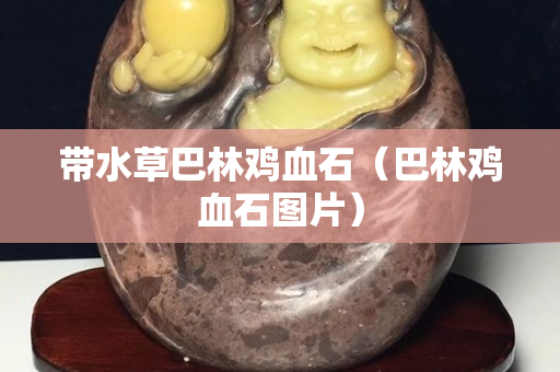 帶水草巴林雞血石（巴林雞血石圖片）
