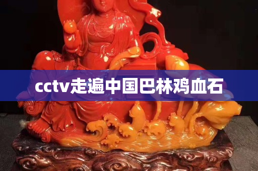 cctv走遍中國巴林雞血石