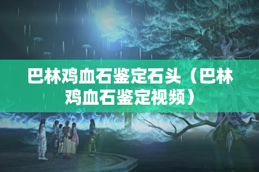 巴林雞血石鑒定石頭（巴林雞血石鑒定視頻）