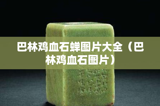 巴林雞血石蟬圖片大全（巴林雞血石圖片）
