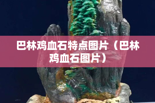 巴林雞血石特點圖片（巴林雞血石圖片）