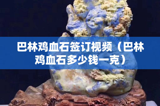 巴林雞血石簽訂視頻（巴林雞血石多少錢一克）