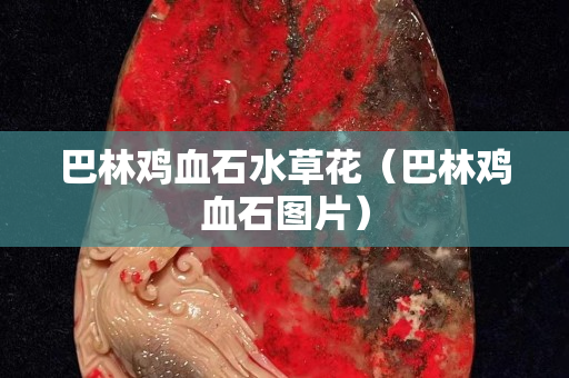 巴林雞血石水草花（巴林雞血石圖片）