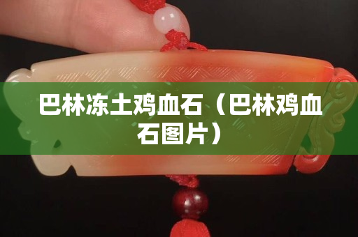 巴林凍土雞血石（巴林雞血石圖片）