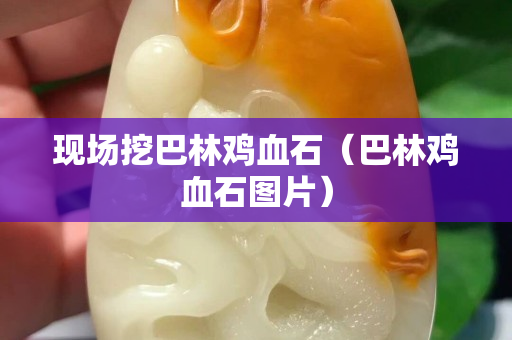 現場挖巴林雞血石（巴林雞血石圖片）