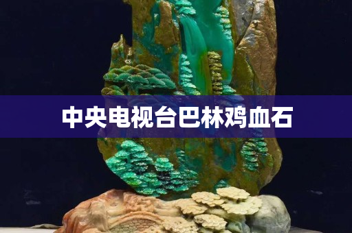中央電視臺巴林雞血石