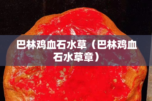 巴林雞血石水草（巴林雞血石水草章）
