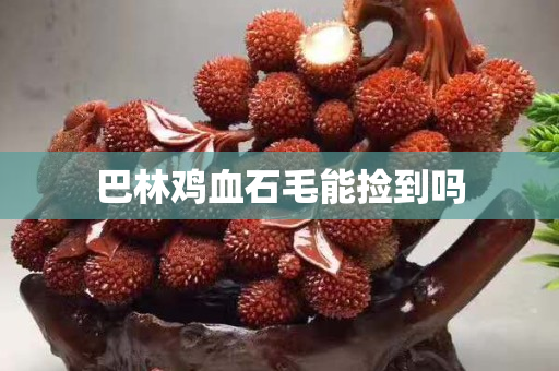 巴林雞血石毛能撿到嗎