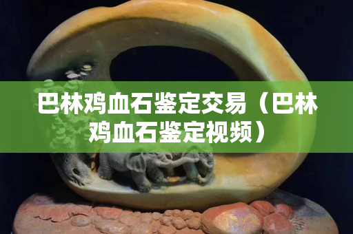 巴林雞血石鑒定交易（巴林雞血石鑒定視頻）