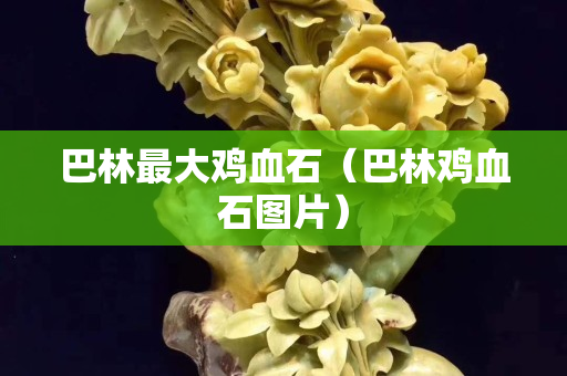 巴林最大雞血石（巴林雞血石圖片）