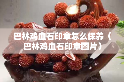 巴林雞血石印章怎么保養（巴林雞血石印章圖片）