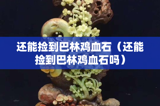 還能撿到巴林雞血石（還能撿到巴林雞血石嗎）