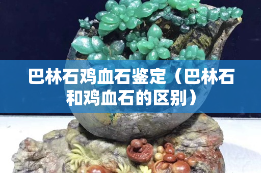 巴林石雞血石鑒定（巴林石和雞血石的區(qū)別）