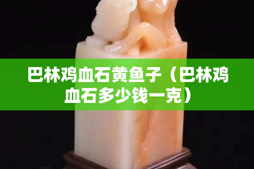 巴林雞血石黃魚子（巴林雞血石多少錢一克）
