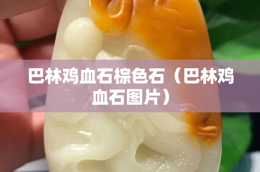 巴林雞血石棕色石（巴林雞血石圖片）