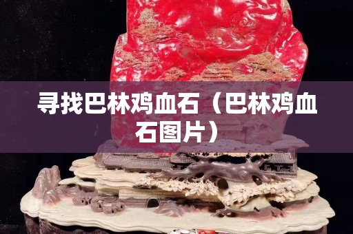 尋找巴林雞血石（巴林雞血石圖片）