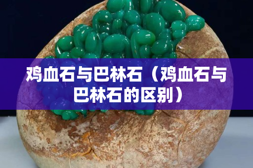 雞血石與巴林石（雞血石與巴林石的區(qū)別）