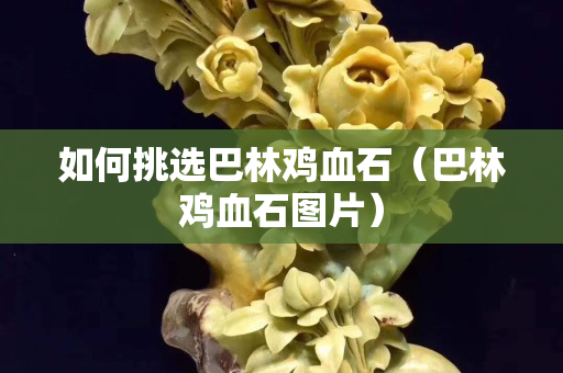 如何挑選巴林雞血石（巴林雞血石圖片）