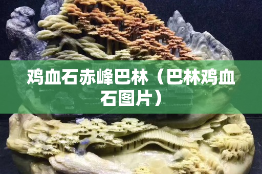 雞血石赤峰巴林（巴林雞血石圖片）