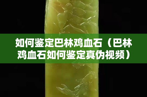 如何鑒定巴林雞血石（巴林雞血石如何鑒定真偽視頻）