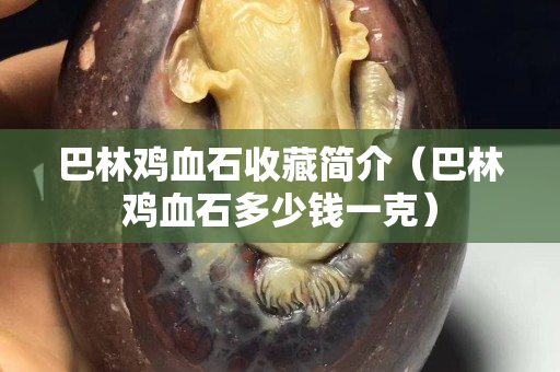 巴林雞血石收藏簡介（巴林雞血石多少錢一克）