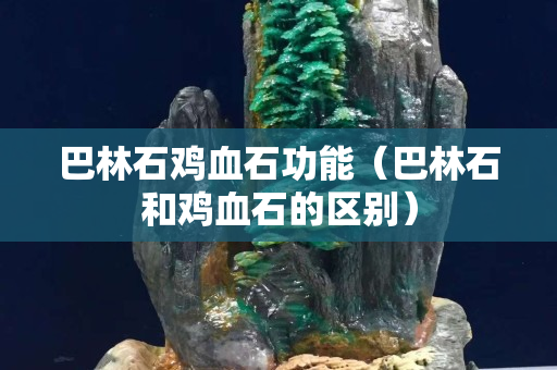 巴林石雞血石功能（巴林石和雞血石的區別）