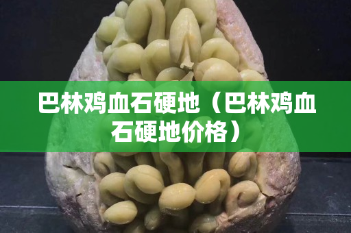巴林雞血石硬地（巴林雞血石硬地價格）