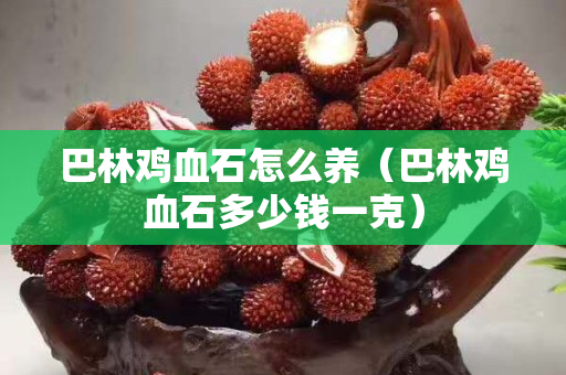 巴林雞血石怎么養（巴林雞血石多少錢一克）