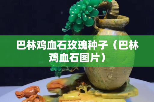 巴林雞血石玫瑰種子（巴林雞血石圖片）