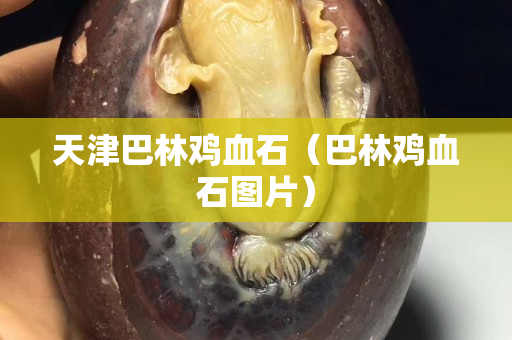 天津巴林雞血石（巴林雞血石圖片）