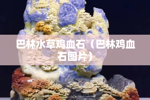 巴林水草雞血石（巴林雞血石圖片）