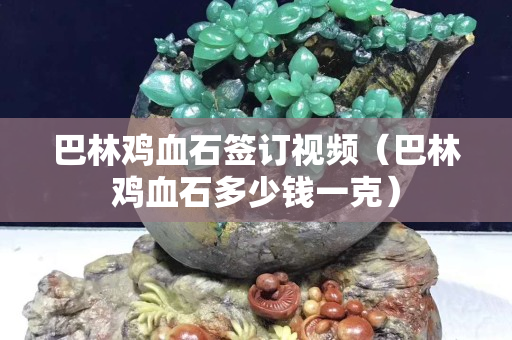 巴林雞血石簽訂視頻（巴林雞血石多少錢一克）