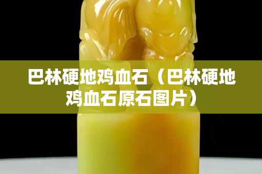 巴林硬地雞血石（巴林硬地雞血石原石圖片）