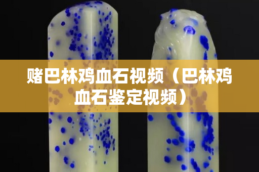 賭巴林雞血石視頻（巴林雞血石鑒定視頻）