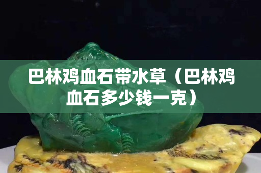 巴林雞血石帶水草（巴林雞血石多少錢一克）