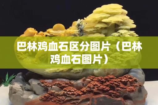 巴林雞血石區(qū)分圖片（巴林雞血石圖片）