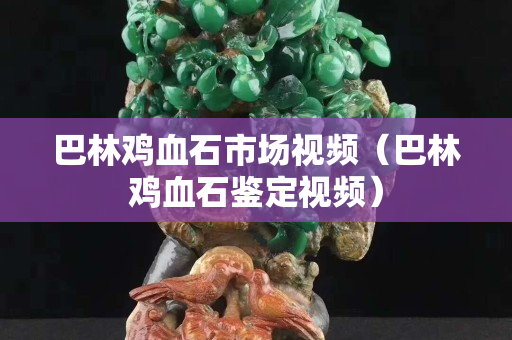 巴林雞血石市場視頻（巴林雞血石鑒定視頻）