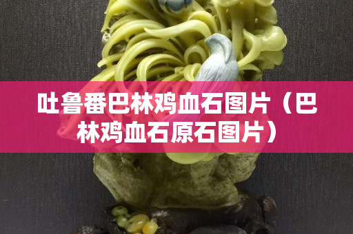 吐魯番巴林雞血石圖片（巴林雞血石原石圖片）