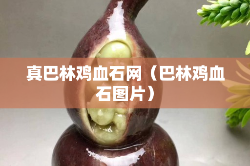 真巴林雞血石網（巴林雞血石圖片）