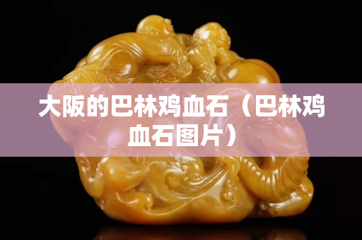 大阪的巴林雞血石（巴林雞血石圖片）