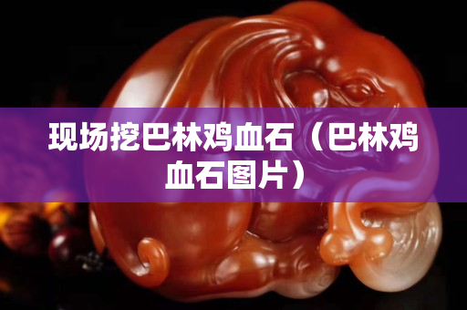 現場挖巴林雞血石（巴林雞血石圖片）