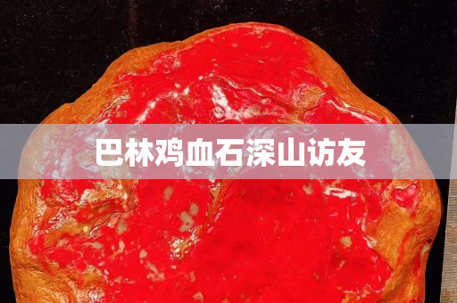 巴林雞血石深山訪友