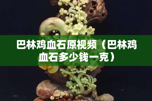 巴林雞血石原視頻（巴林雞血石多少錢一克）