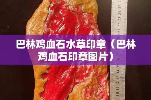 巴林雞血石水草印章（巴林雞血石印章圖片）