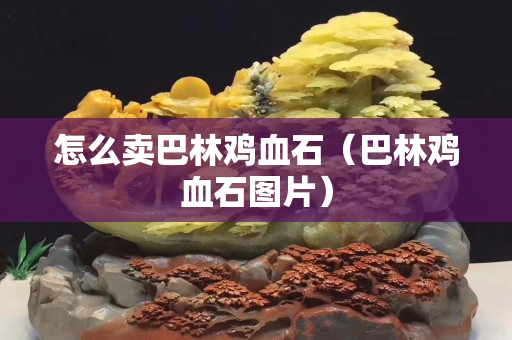 怎么賣巴林雞血石（巴林雞血石圖片）