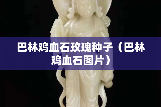 巴林雞血石玫瑰種子（巴林雞血石圖片）
