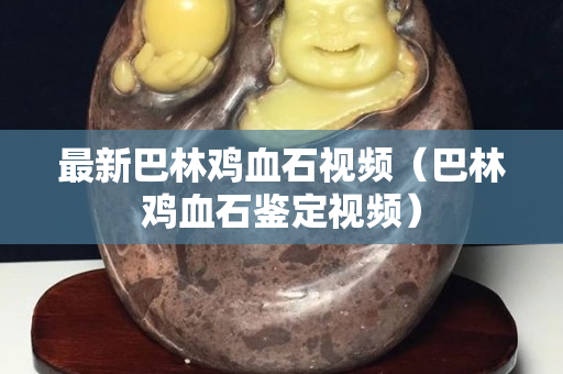 最新巴林雞血石視頻（巴林雞血石鑒定視頻）