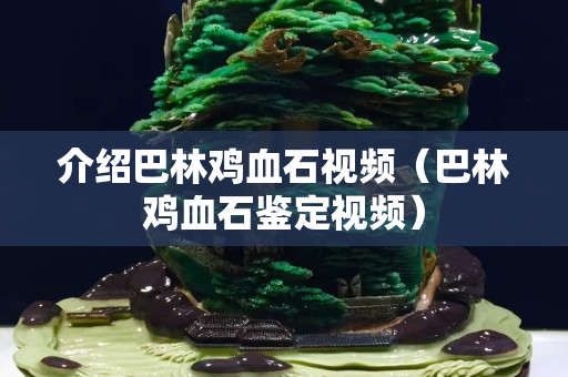 介紹巴林雞血石視頻（巴林雞血石鑒定視頻）