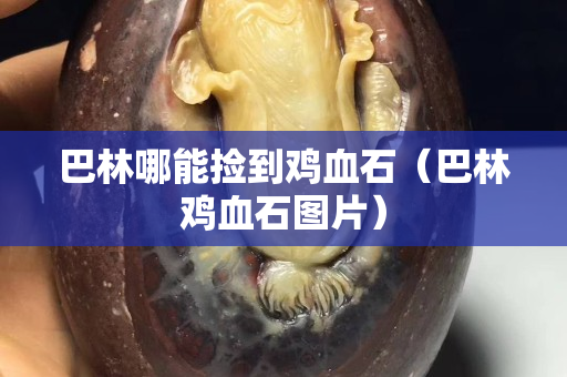 巴林哪能撿到雞血石（巴林雞血石圖片）